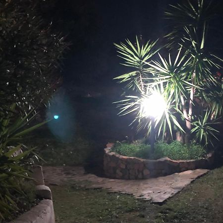 Sarrala Apartment แตร์เตนิอา ภายนอก รูปภาพ